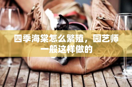 四季海棠怎么繁殖，園藝師一般這樣做的