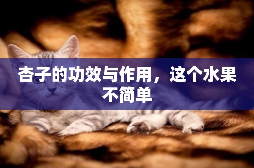 杏子的功效與作用，這個水果不簡單