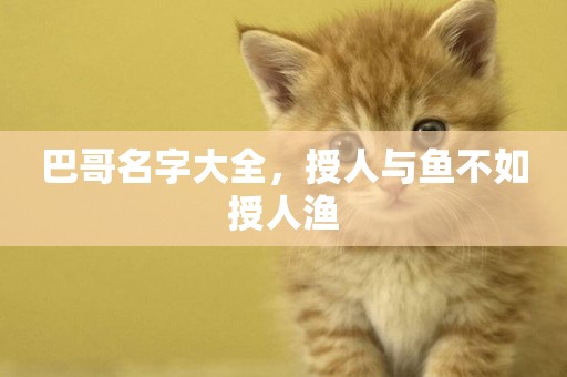 巴哥名字大全，授人與魚不如授人漁