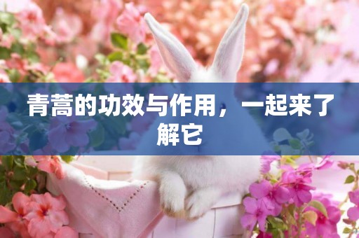 青蒿的功效與作用，一起來了解它