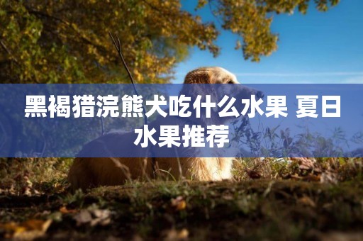 黑褐獵浣熊犬吃什么水果 夏日水果推薦