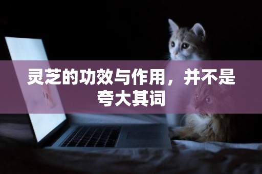靈芝的功效與作用，并不是夸大其詞