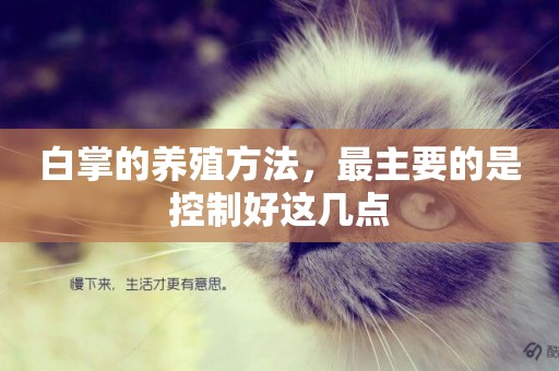 白掌的養殖方法，最主要的是控制好這幾點