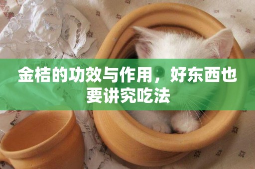金桔的功效與作用，好東西也要講究吃法