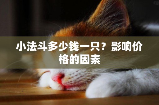小法斗多少錢一只？影響價格的因素