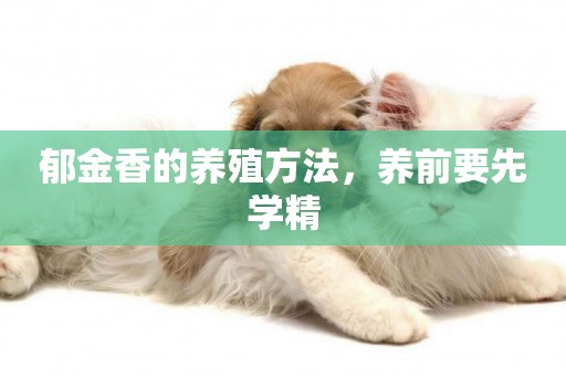 郁金香的養殖方法，養前要先學精