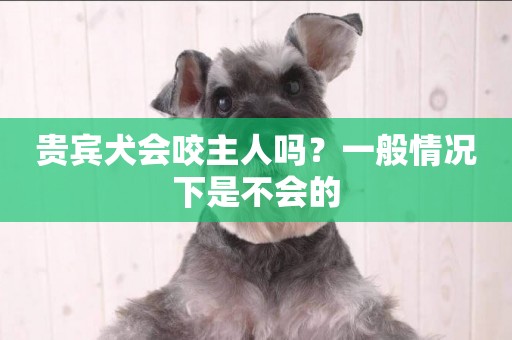 貴賓犬會咬主人嗎？一般情況下是不會的