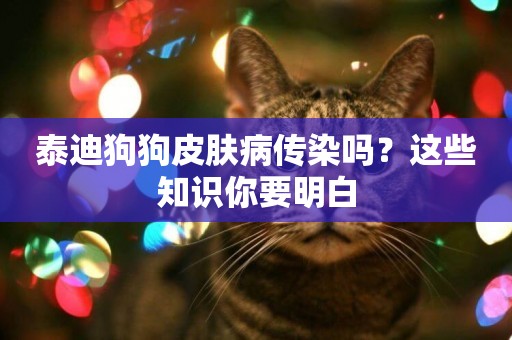 泰迪狗狗皮膚病傳染嗎？這些知識你要明白