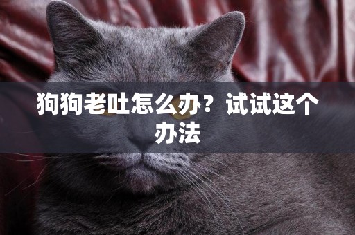狗狗老吐怎么辦？試試這個辦法