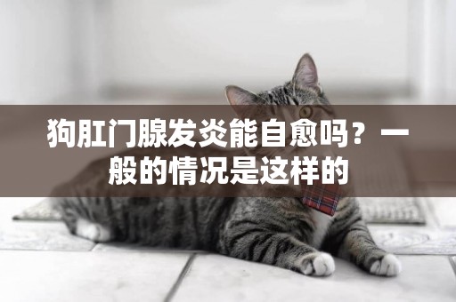 狗肛門腺發炎能自愈嗎？一般的情況是這樣的