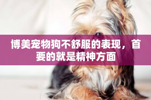 博美寵物狗不舒服的表現，首要的就是精神方面
