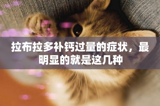 拉布拉多補鈣過量的癥狀，最明顯的就是這幾種