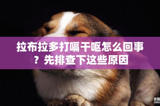 拉布拉多打嗝干嘔怎么回事？先排查下這些原因