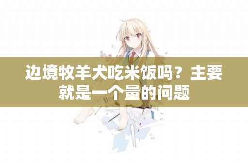 邊境牧羊犬吃米飯嗎？主要就是一個量的問題