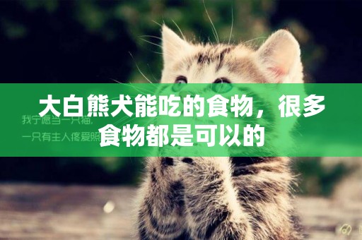 大白熊犬能吃的食物，很多食物都是可以的