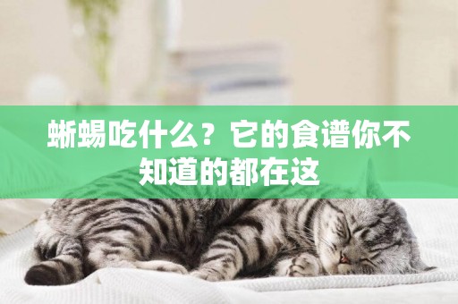 蜥蜴吃什么？它的食譜你不知道的都在這