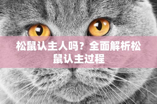 松鼠認主人嗎？全面解析松鼠認主過程