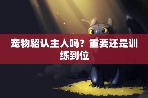 寵物貂認主人嗎？重要還是訓練到位