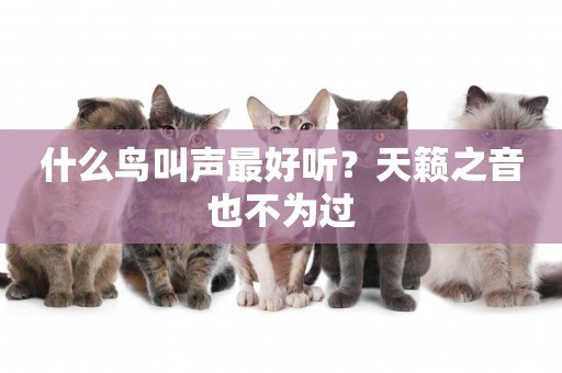 什么鳥叫聲最好聽？天籟之音也不為過
