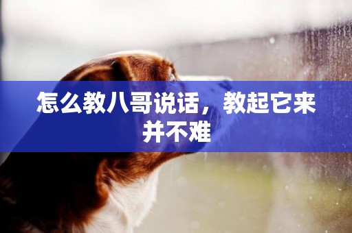 怎么教八哥說話，教起它來并不難