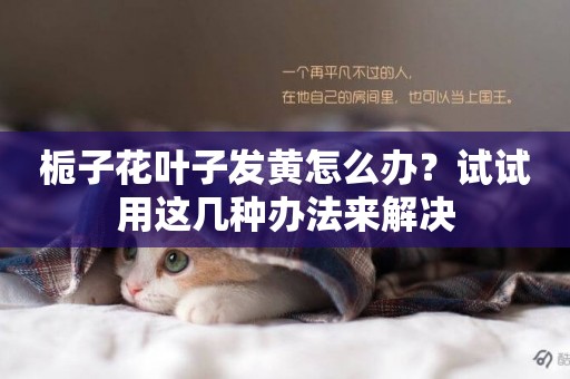 梔子花葉子發黃怎么辦？試試用這幾種辦法來解決
