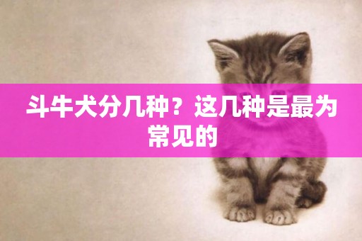 斗牛犬分幾種？這幾種是最為常見的