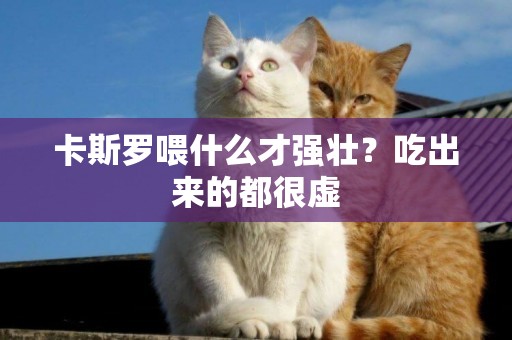 卡斯羅喂什么才強壯？吃出來的都很虛