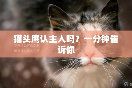 貓頭鷹認主人嗎？一分鐘告訴你