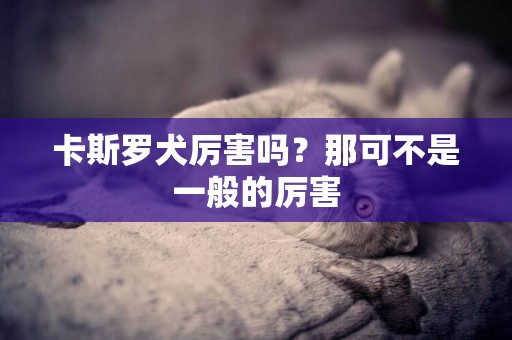 卡斯羅犬厲害嗎？那可不是一般的厲害