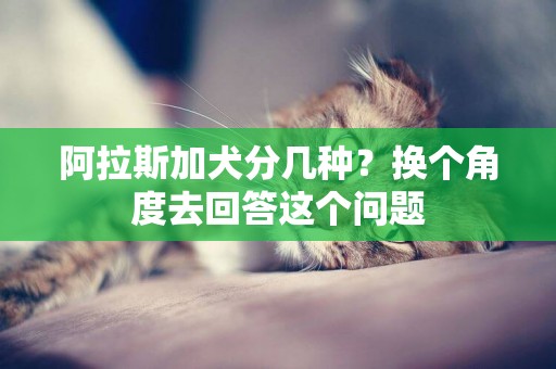 阿拉斯加犬分幾種？換個角度去回答這個問題