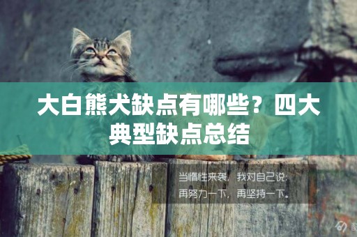 大白熊犬缺點有哪些？四大典型缺點總結