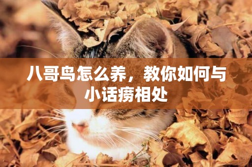 八哥鳥怎么養，教你如何與小話癆相處
