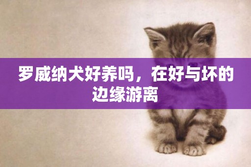 羅威納犬好養嗎，在好與壞的邊緣游離