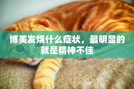 博美發燒什么癥狀，最明顯的就是精神不佳