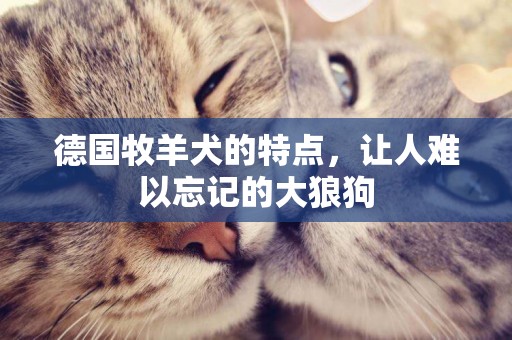 德國牧羊犬的特點，讓人難以忘記的大狼狗