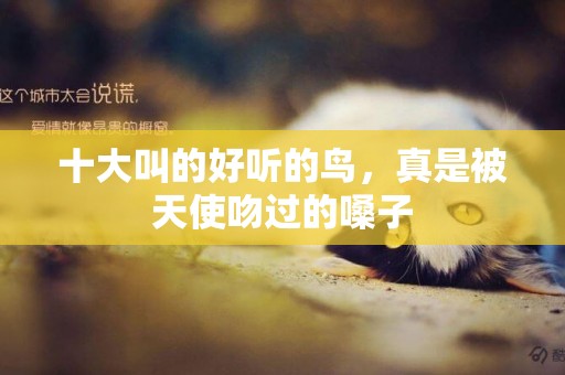 十大叫的好聽的鳥，真是被天使吻過的嗓子