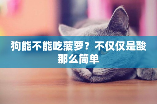 狗能不能吃菠蘿？不僅僅是酸那么簡單