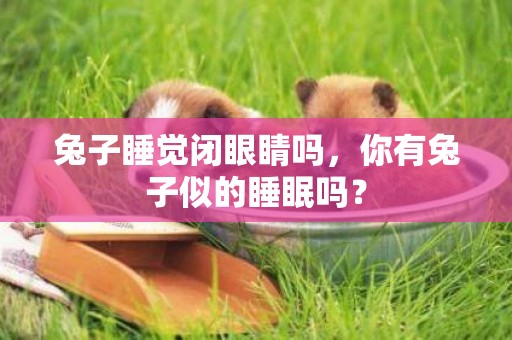 兔子睡覺閉眼睛嗎，你有兔子似的睡眠嗎？