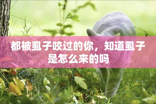 都被虱子咬過的你，知道虱子是怎么來的嗎