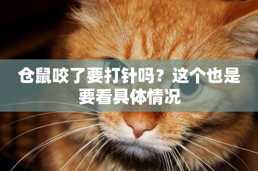 倉鼠咬了要打針嗎？這個也是要看具體情況