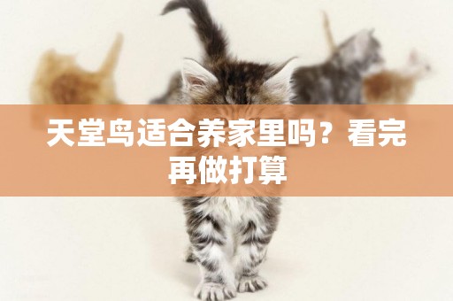 天堂鳥適合養家里嗎？看完再做打算