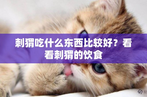 刺猬吃什么東西比較好？看看刺猬的飲食