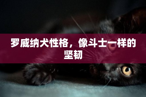 羅威納犬性格，像斗士一樣的堅韌