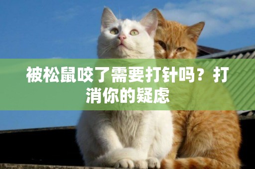 被松鼠咬了需要打針嗎？打消你的疑慮