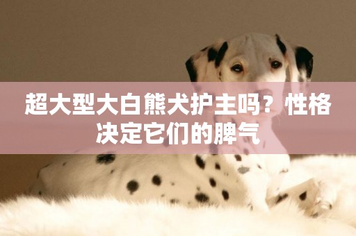 超大型大白熊犬護主嗎？性格決定它們的脾氣