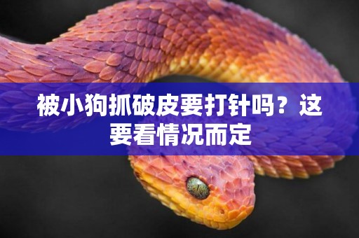 被小狗抓破皮要打針嗎？這要看情況而定