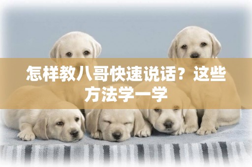 怎樣教八哥快速說話？這些方法學一學
