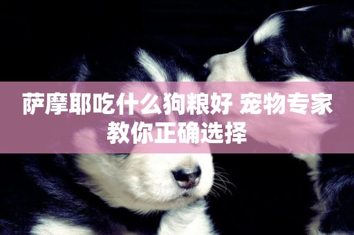 薩摩耶吃什么狗糧好 寵物專家教你正確選擇