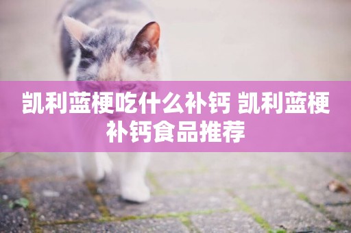 凱利藍梗吃什么補鈣 凱利藍梗補鈣食品推薦