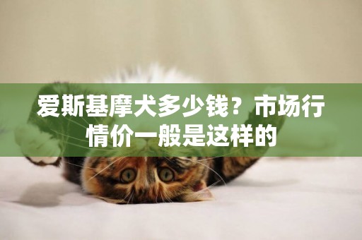 愛斯基摩犬多少錢？市場行情價一般是這樣的